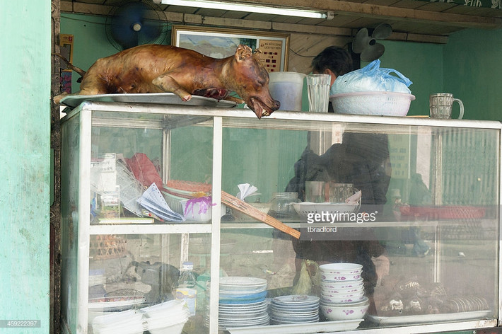 Chú chó thui chồm hỗm trên tủ kính của một quán ăn ở Hà Nội. Ảnh: Getty.