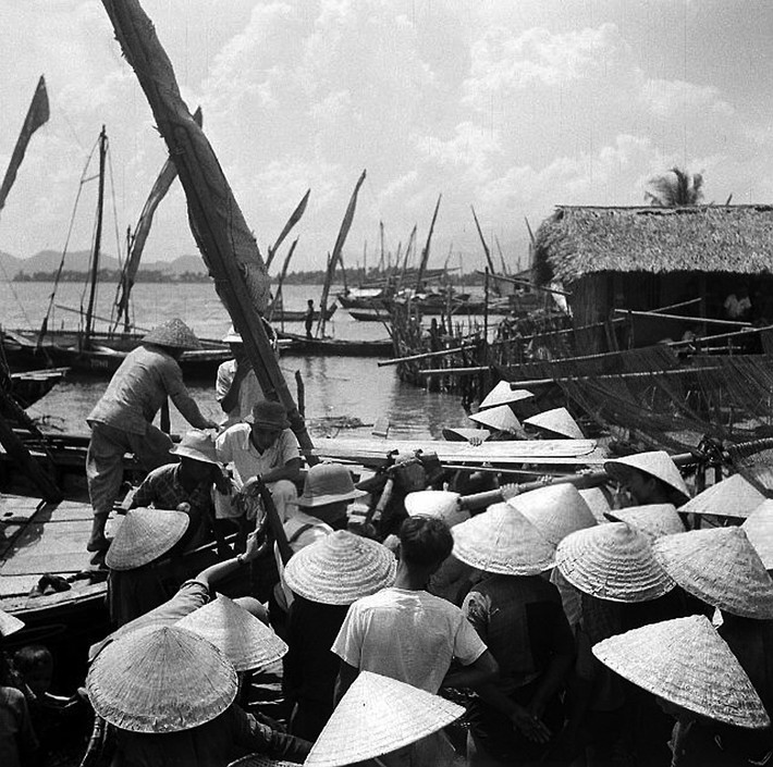 Chen chúc chọn mua cá khi mẻ cá mới được đưa vào chợ. Ảnh: Michel Huet/ Getty.