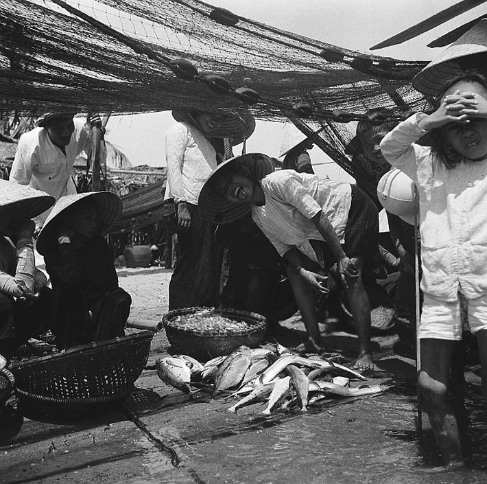 Cá tươi được bày bán ở chợ cá Nha Trang. Ảnh: Michel Huet/ Getty.