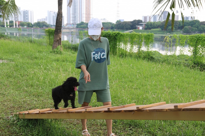 Những chú chó thử sức với những "đồ chơi mới" - Ảnh: vov.vn