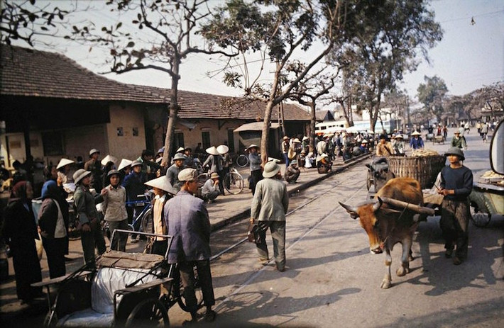 Để di chuyển sang các tỉnh thành khác, người dân sẽ phải đi trên những chiếc xe khách Hải Âu. Ảnh chụp một góc bến xe Kim Mã đã cho thấy đường phố Hà Nội thời kỳ này thậm chí vẫn còn có hình ảnh của những chiếc xe bò.