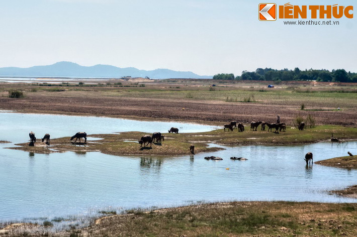 Nằm ở tỉnh Tây Ninh, hồ Dầu Tiếng có diện tích mặt nước là 270 km² và 45,6 km² đất bán ngập nước, là hồ nước nhân tạo lớn nhất của Việt Nam. Không chỉ là công trình thủy lợi quan trọng, đây còn là thắng cảnh nổi tiếng của vùng Đông Nam Bộ.