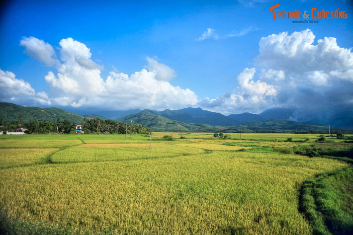 Qua đèo Phước Tượng, cảnh quan thay đổi với những cánh đồng lúa thẳng cánh cò bay, phía xa là những dãy núi nhấp nhô.
