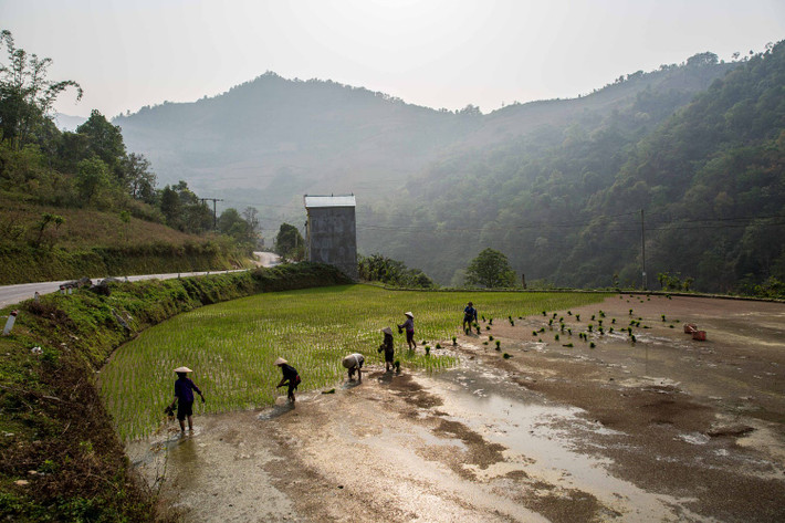 Người nông dân làm ruộng bên con đường đến Lạng Sơn. Ảnh: Mathieu Arnaudet - 500px.com.