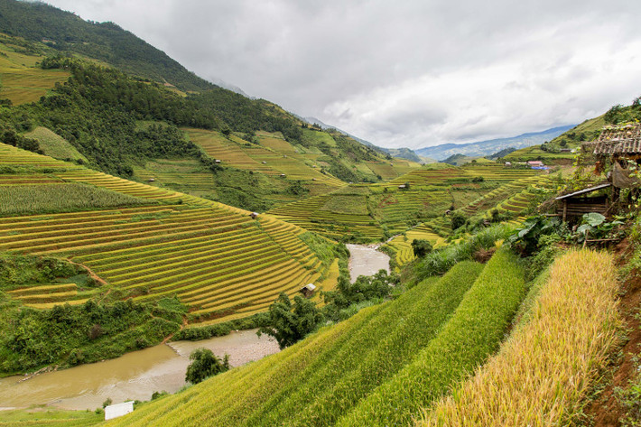 Ruộng bậc thang ở Mù Căng Chải. Ảnh: Mathieu Arnaudet - 500px.com.