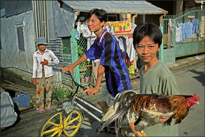 Hai cậu bé và chú gà ở Châu Đốc, An Giang năm 2007. Ảnh: Ian Berry/ Magnum Photos.