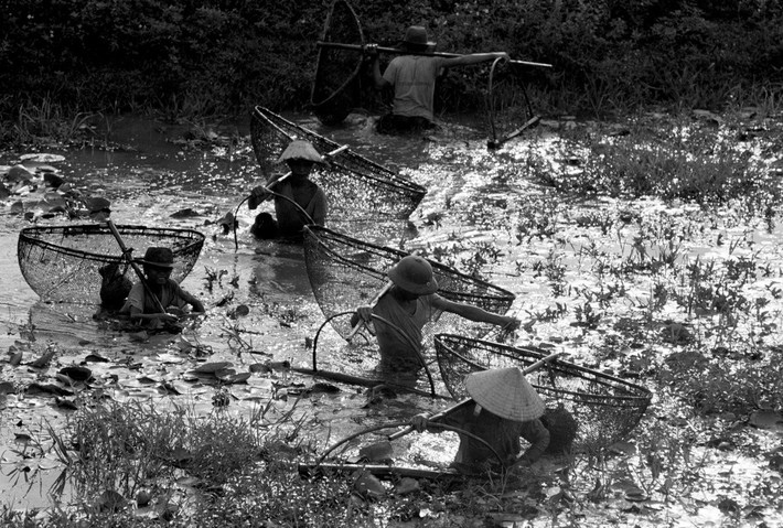 Người dân đánh giậm ở vùng ven biển Hà Tĩnh. Ảnh: Ferdinando Scianna/ Magnum Photos.