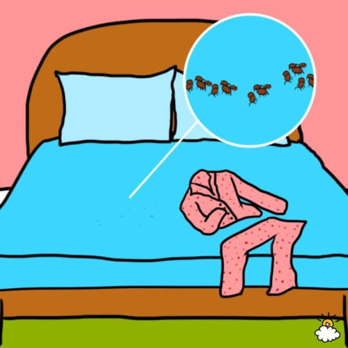 3. Mạt bụi Đây là loại sinh vật rất nhỏ, thường ẩn náu trong mỗi gia đình. Thật khó để loại bỏ chúng một cách hoàn toàn, nhưng bạn nên tìm cách xua đuổi mạt bụi ra khỏi phạm vi giường và khu vực ngủ. Mạt bụi thích ăn da chết, chúng thường bị thu hút bởi những bộ đồ ngủ và giường chiếu. Chúng tồn tại nhiều hơn ở đồ ngủ, vì vậy, nó có thể là nguyên nhân gây ra các vấn đề về đường hô hấp, đặc biệt là khi bạn ngủ.