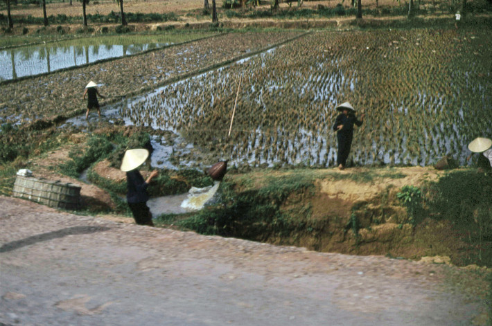 Những người nông dân tát nước bên quốc lộ. Ảnh: Steve Simpson/ 19engrvn.