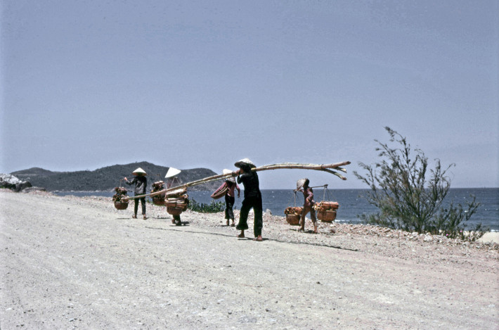 Trên Quốc lộ 1, đoạn chạy qua Tam Quan, Hoài Nhơn, Bình Định năm 1968. Ảnh: Steve Simpson/ 19engrvn.