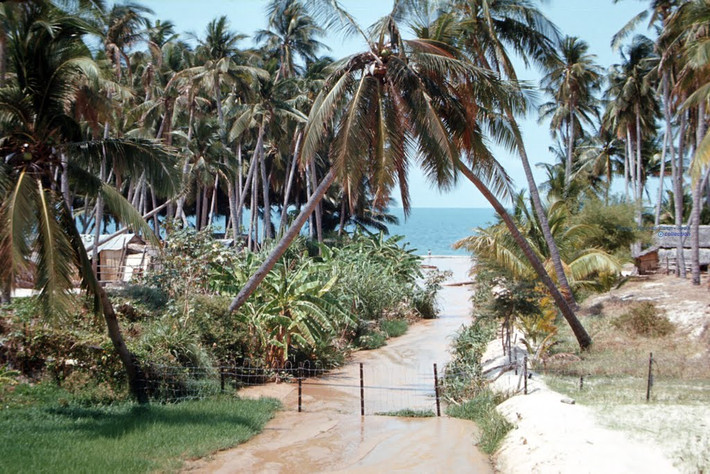 Một con suối đổ ra biển ở Khánh Phước.
