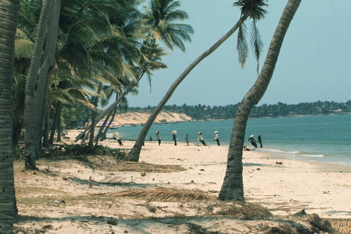 Dân chài kéo lưới trên bãi biển Thiện Khánh ở Mũi Né.