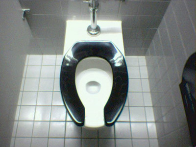 Lý do thực sự vì sao bệ ngồi toilet có hình chữ U lại đơn giản hơn rất nhiều. Một tổ chức quốc tế mang tên Hiệp hội nghi thức cơ khí và đường ống đã làm việc với rất nhiều chính quyền địa phương và công ty sản xuất bồn cầu để áp dụng những quy ước về hệ thống cơ khí và ống nước nhằm bảo vệ sức khỏe cộng đồng.