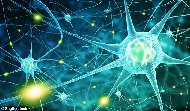 Khi thức dậy và bị đau một bên vai thường là do tư thế ngủ bị sai hoặc tập luyện quá sức ở phòng gym. Tuy nhiên, thỉnh thoảng cơn đau ở vai lại là dấu hiệu của một thứ gì đó khác – có thể nguy hiểm hơn và chẳng liên quan gì đến vai – như ruột, loét dạ dày hoặc hư gan.