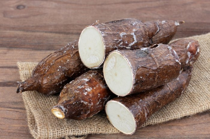 Mặc dù là loại carbs được ăn nhiều nhất trên thế giới nhưng củ sắn là thực phẩm gây chết người. Củ sắn sống có chứa cyanogenic glucosides và làm sản sinh ra HCN (hydrogen cyanide) – một chất độc. Để bảo đảm an toàn cần ngâm củ sắn trong nước khoảng 1 ngày rồi mới nấu. Tuy nhiên có một số loại sắn có chứa ít cyanogenic glucosides hơn nên không cần ngâm mà chỉ cần luộc chín là ăn được.