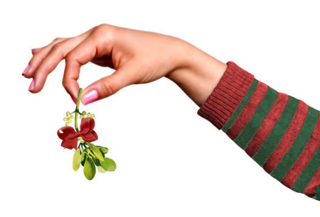 Khi nhìn thấy một chùm quả tầm ma dùng để trang trí cây thông Noel thì đến người lớn còn muốn ăn nữa là trẻ con. Thực ra quả tầm ma không gây chết người nhưng lá tầm ma có thể gây lộn ruột nếu ăn phải một lượng nhất định. Vì vậy nếu trang trí loại quả này trong nhà thì nên cho vào một dạng túi lưới để lá và quả không bị rụng.