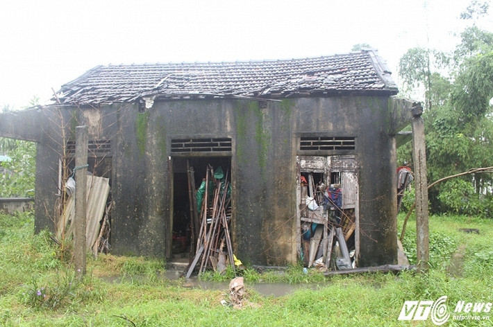 Chuyện về ba mẹ con “ người rừng” ở thôn Sư Lỗ (xã Lộc Điền, huyện Phú Lộc, tỉnh Thừa Thiên – Huế) từng gây xôn xao dư luận. Tuy nhiên, cuộc sống hiện tại của của ba mẹ con bây giờ ra sao thì không phải ai cũng biết.