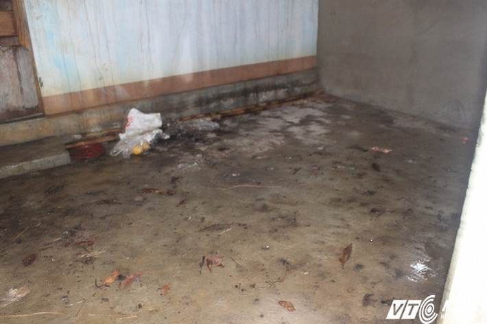 Điều làm chúng tôi bất ngờ hơn là tính tình và tập quán của ba mẹ con “người rừng” cũng không thay đổi. Cậu bé Cu Lớn (nay có tên là Nguyễn Văn Hiếu) suốt ngày đi lang thang, tối mới về nhà ngủ.