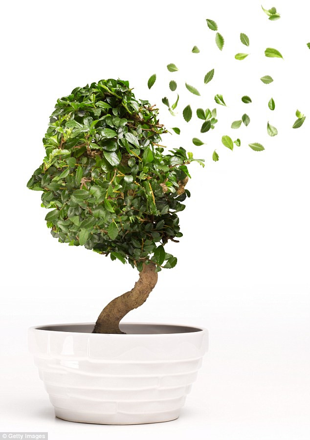 Ngày càng có nhiều người muốn sống lâu nhưng hạn chế của nó là ngày càng có nhiều người bị rối loạn trí não hoặc suy giảm nhận thức khi tuổi đã cao.