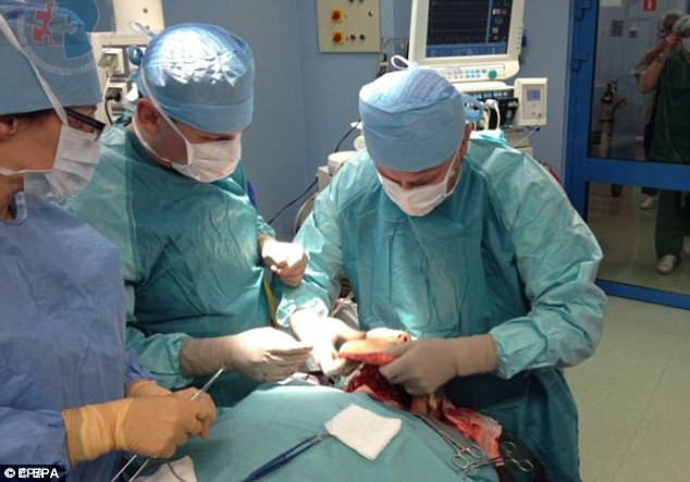 Bác sĩ Adam Maciejewski, người đã thực hiện ca phẫu thuật cấy ghép mặt cho cô Joana đã mất 23 giờ mới hoàn thành ca phẫu thuật này, cấy ghép 80% da mặt để cô có thể nhai, nuốt và nói bình thường.