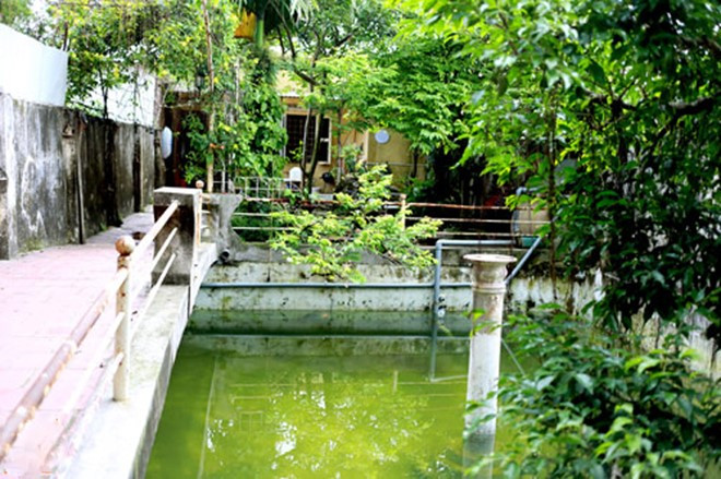 Phía trước ngôi nhà, Giang còi làm một chiếc bể bơi.