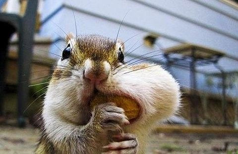 Ung thư miệng có thể gây đau hoặc bỏng rát khi nhai hoặc nuốt thức ăn. Một dấu hiệu khác là khi ăn thì thức ăn bị dính lại ở cổ họng. (Ảnh: Apis)