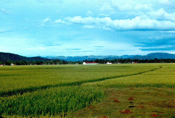 Đồng ruộng gần thị trấn Tam Quan, Quy Nhơn. Ảnh: John Hack.