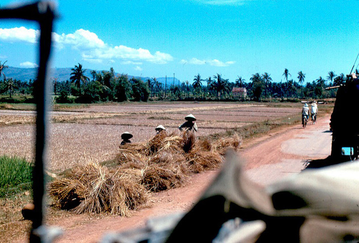 Nông dân phơi rơm rạ bên Quốc lộ 1. Ảnh: John Hack.