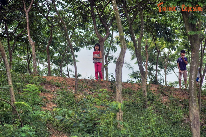 Mặt ngoài lũy dốc thẳng đứng, mặt trong thoải để đánh vào thì khó, trong đánh ra thì dễ. Lũy cao trung bình từ 4–5 m, có chỗ cao đến 8–12 m. Chân lũy rộng 20–30 m, mặt lũy rộng 6–12 m. Khối lượng đất đào đắp ước tính 2,2 triệu mét khối.