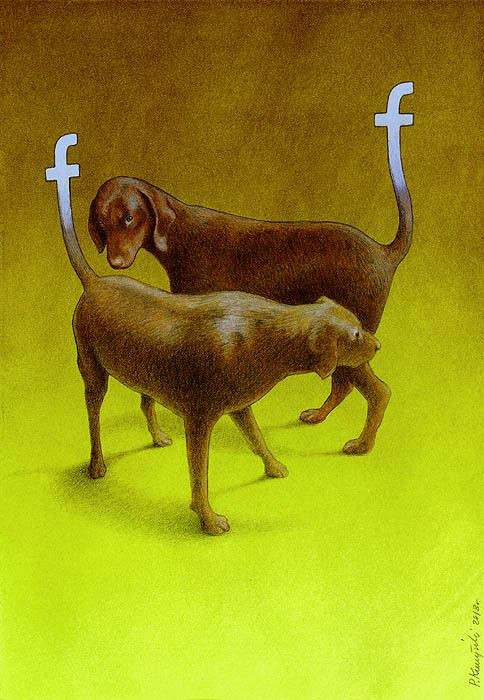 Người ta đánh giá thái độ của bạn qua Facebook, cũng như đánh giá thái độ của con chó qua cái đuôi của nỏ.