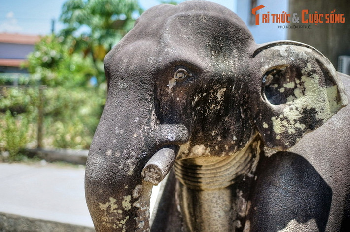 Từng chi tiết nhỏ như nếp gấp của tai, hốc mắt… của con voi được chạm khắc trau chuốt, tỉ mỉ.