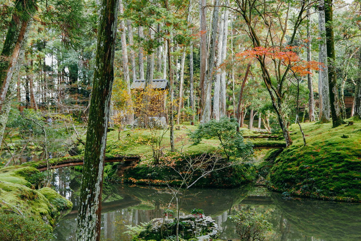 5. Vườn chùa Saiho-ji (Tây Phương Tự, thành phố Kyoto, phủ Kyoto). Khu vườn này có hơn 120 loại rêu và có ảnh hưởng rất lớn đến thiết kế sân vườn Nhật Bản. Nhờ khu vườn này, Saiho-ji cũng được gọi là chùa Rêu. Trong quá khứ, nơi đây từng là dinh thự của hoàng tử Shotoku trước khi trở thành một ngôi chùa vào năm 1339. Ảnh: Nomad in Nihon.