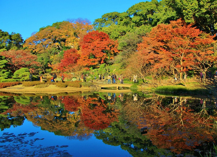 9. Vườn phía Đông Hoàng Cung (vùng đô thị Tokyo). Khu vườn này bao quanh nhiều tòa nhà của cung điện Hoàng gia Nhật Bản. Điểm nhấn của nó là vườn Ninomaru, nơi có các loại cây đại diện cho từng tỉnh của Nhật Bản. Có hơn 260 cây được trồng ở đây. Ảnh: TripAdvisor.