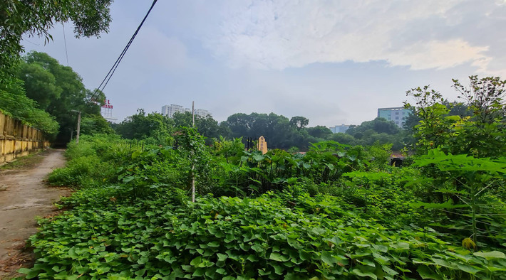 Cảnh hoang hóa, lãng phí xót thương tại Khu đô thị Tây Nam Linh Đàm.