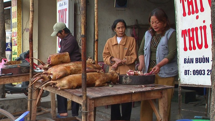 Chủ cửa hàng bán thịt chó cho khách. Ông Manfred Sommer nhận xét, ngày nay một số nền văn hóa coi việc tiêu thụ thịt chó là một phần trong ẩm thực truyền thống, trong khi những nền văn hóa khác - chẳng hạn như phương Tây - lại coi đây là một điều cấm kỵ.
