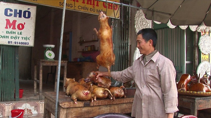 Một cửa hàng thịt chó trên phố Tam Trinh, Hà Nội năm 2007. Theo ông Manfred Sommer - người chụp loạt ảnh này - trong lịch sử, việc con người ăn thịt chó đã được ghi nhận ở nhiều nơi trên thế giới, bao gồm Đông và Đông Nam Á, Tây Phi, châu Âu, châu Đại Dương và châu Mỹ.