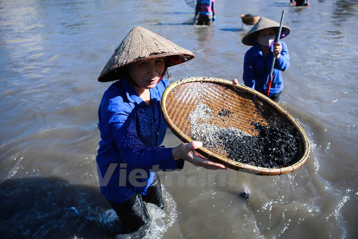Than trôi xuống sông chủ yếu của Nhà máy than Cọc 6, Cao Sơn, Mông Dương. (Ảnh: Minh Sơn/Vietnam+)
