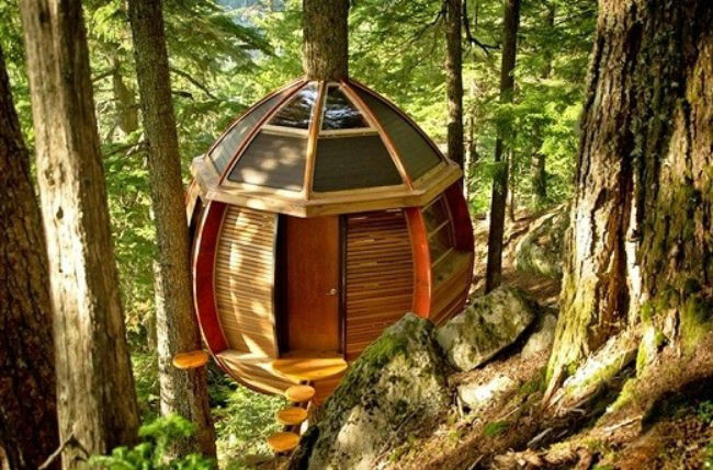 Nhà cây Tree Pod, Whistler, British Columbia: Một người đàn ông ở British Columbia đã xây ngôi nhà cây cực độc này trong một khu vực hẻo lánh ở Whistler.
