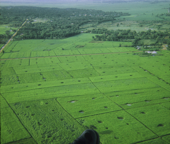 Những cánh đồng xanh ngát.