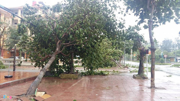 Rạng sáng 17/7, bão số 2 quét qua Nghệ An đã khiến nhiều cây xanh bị gẫy đổ.