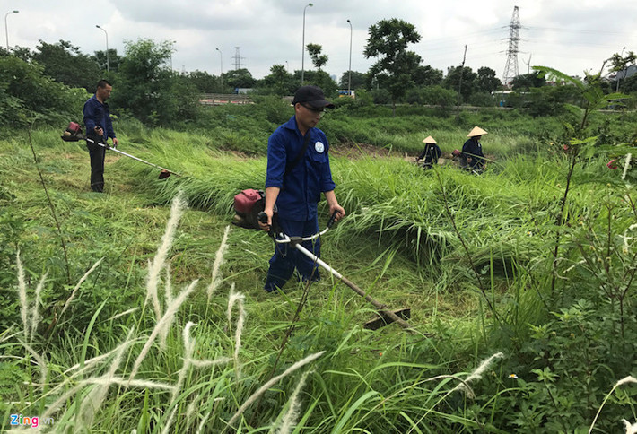 Các công nhân cho biết họ sẽ dọn dẹp cỏ dại mọc trong khuôn viên thảm cỏ rộng lớn nằm trong dải phân cách từ đầu đại lộ đến hết đoạn cầu sông Nhuệ và chưa có kế hoạch làm việc tiếp sau đó.