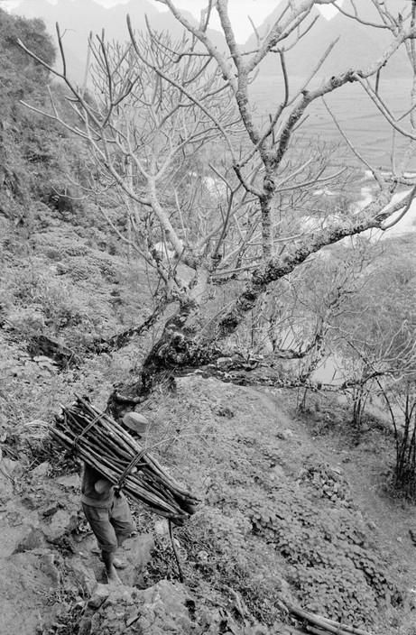 Người nhặt củi bước trên những bậc đá cheo leo, trơn trượt. Ảnh: Magnumphotos.com