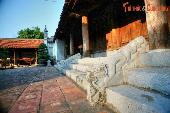 Vào năm 1313 dưới triều vua Trần Anh Tông, chùa Dâu được Lưỡng quốc trạng nguyên Mạc Đĩnh Chi dày công tu bổ thành chùa 100 gian, tháp 9 tầng, cầu 9 nhịp. Chùa tiếp tục được trùng tu nhiều lần qua các thế kỷ tiếp theo.