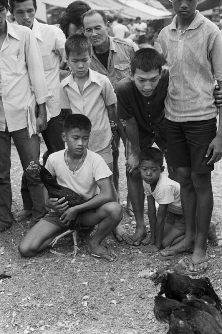 Chọi gà, thú tiêu khiển phổ biến của nam giới ở Bangkok. Ảnh: Hiroji Kubota/ Magnum Photos.