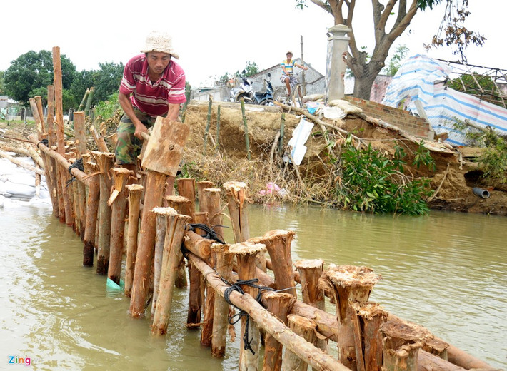 Theo ông Nhâm, nhiều ngày qua, lực lượng thanh niên, dân quân địa phương đóng cọc bạch đàn, tạo bờ chắn hỗ trợ cảnh sát sơ động chèn bao cát gia cố đoạn đê bị sạt lở.