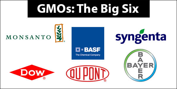 Hiện 6 “ông lớn GMO” trong ngành công nghệ sinh học là 6 nhà sản xuất thuốc trừ sâu và thực phẩm GMO, gồm có BASF, Syngenta, Bayer, Dupont, Dow và Monsanto – cái tên gây chú ý nhất vì không chịu tương tác với cộng đồng để giải đáp thắc mắc về thực phẩm GMO. Số còn lại lại thường hay lẩn tránh khi được các nhà khoa học không chuyên tiếp cận. (Ảnh: Geneticliteracy)
