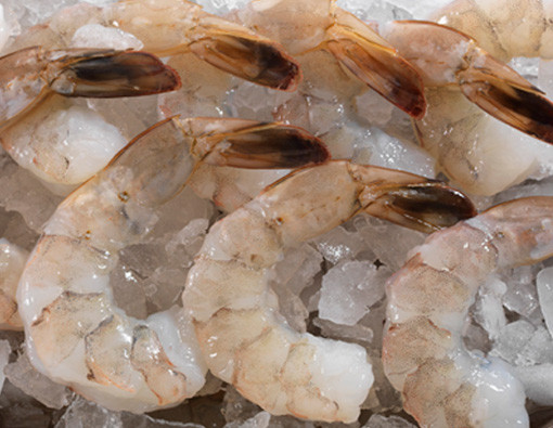 Nguyên liệu để làm món tôm cháy tỏi sốt gồm: 500g tôm lột vỏ, để nguyên đầu, 3 thìa dầu oliu, 3-4 nhánh tỏi đập dập , 2 cây hành lá thái nhỏ, 1 ít cà chua bi, 2 thìa ớt bột, 2-3 lá xạ hương tươi, 1 chén rượu trắng, muối, hạt tiêu.