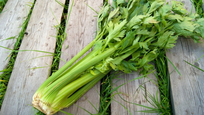 Cần tây là một loại rau thường xuyên có trong bếp vì dùng được cho nhiều món, từ xào, hấp, nấu canh…Nhưng cần tây có thể có hơn 60 loại thuốc trừ sâu còn sót lại.