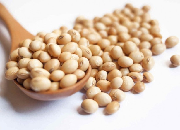 Ăn quá nhiều đậu nành: Đây là sai lầm phổ biến khi ăn chay. Đồ chay thay thế cho mayonnaise hay bất kỳ thứ gì đều được làm từ đậu nành. Đậu nành hữu cơ, đậu nành không biến đối gien không phải không tốt cho sức khỏe nhưng không nên bữa nào cũng ăn.