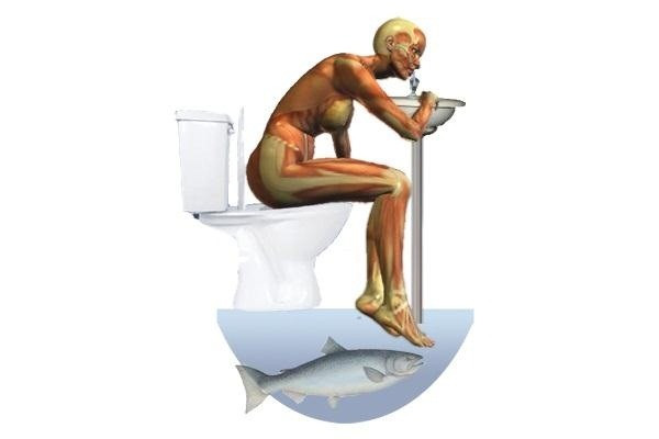 Công dụng của nước tiểu đã được nhiều người quảng bá nhưng không phải ai cũng tin. Hiện chưa có đủ cơ sở khoa học để chứng minh tác dụng của nước tiểu đối với cơ thể và đồng thời cũng chưa có đủ bằng chứng cho thấy nước tiểu thực sự độc hại. Xung quanh vấn đề này vẫn là một cuộc tranh cãi.